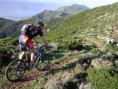 /album/galleria-fotografica/mtb2g-jpg1/